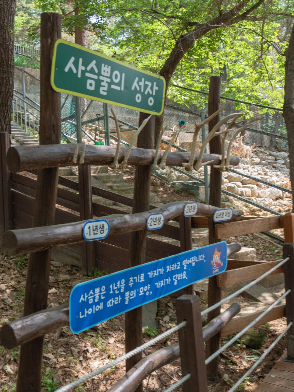 진양호 공원(동물원) 추가이미지 3