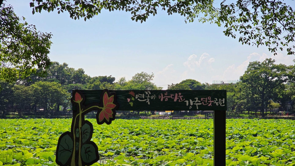 강주연못 추가이미지 1