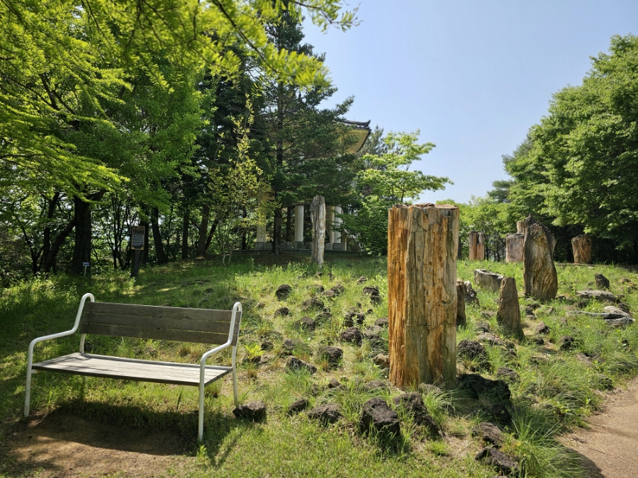 경상남도 수목원 추가이미지 5