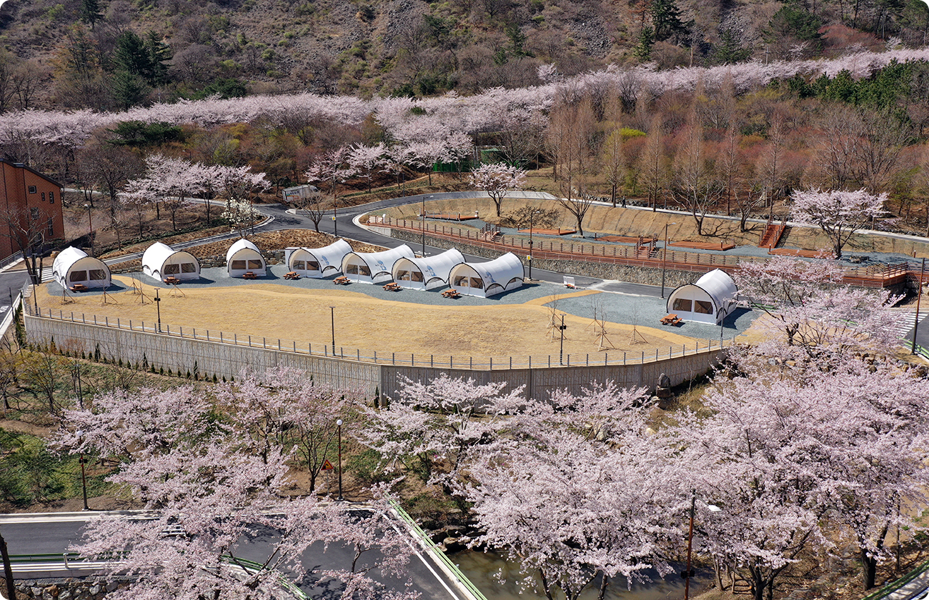 월아산 숲속의 진주 추가이미지 1