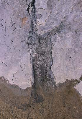 진주 유수리 백악기 화석산지(晋州 柳樹里 白堊紀 化石産地) 추가이미지 3