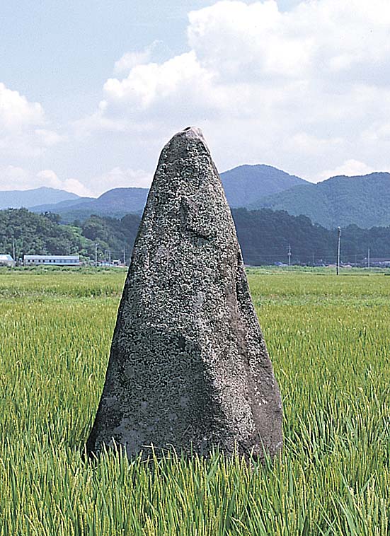 진주 대천리 입석 (晉州 大川里 立石) 추가이미지 1