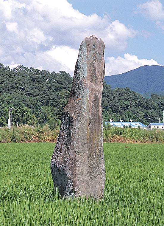 진주 대천리 입석 (晉州 大川里 立石) 추가이미지 2