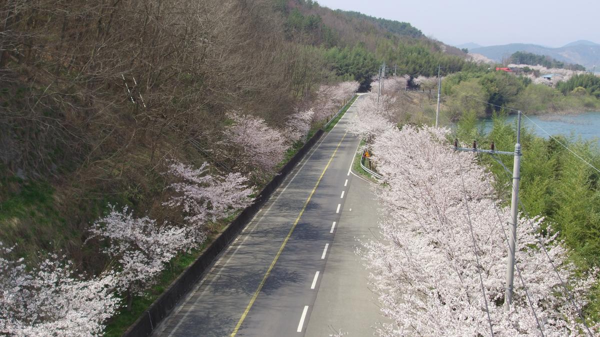 진양호 일주도로 추가이미지 5