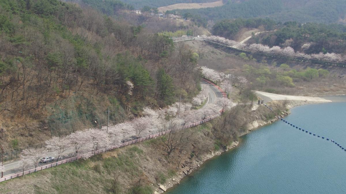 진양호 일주도로 추가이미지 2