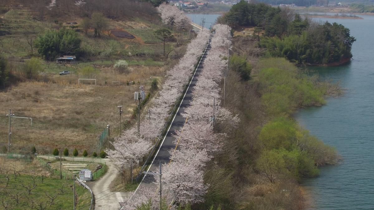 진양호 일주도로 추가이미지 7