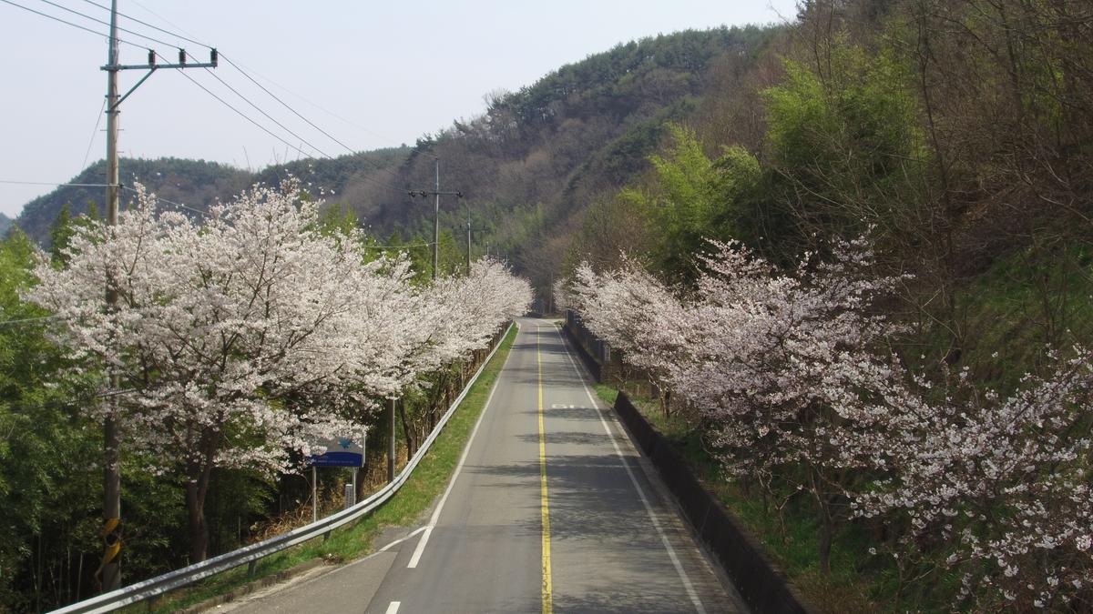 진양호 일주도로 추가이미지 4