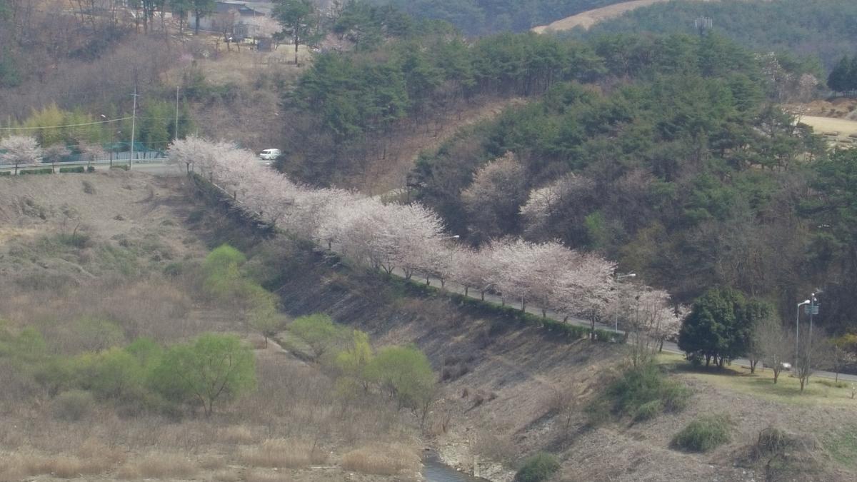 진양호 일주도로 추가이미지 3