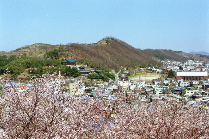 비봉산의 봄(6경) 이미지