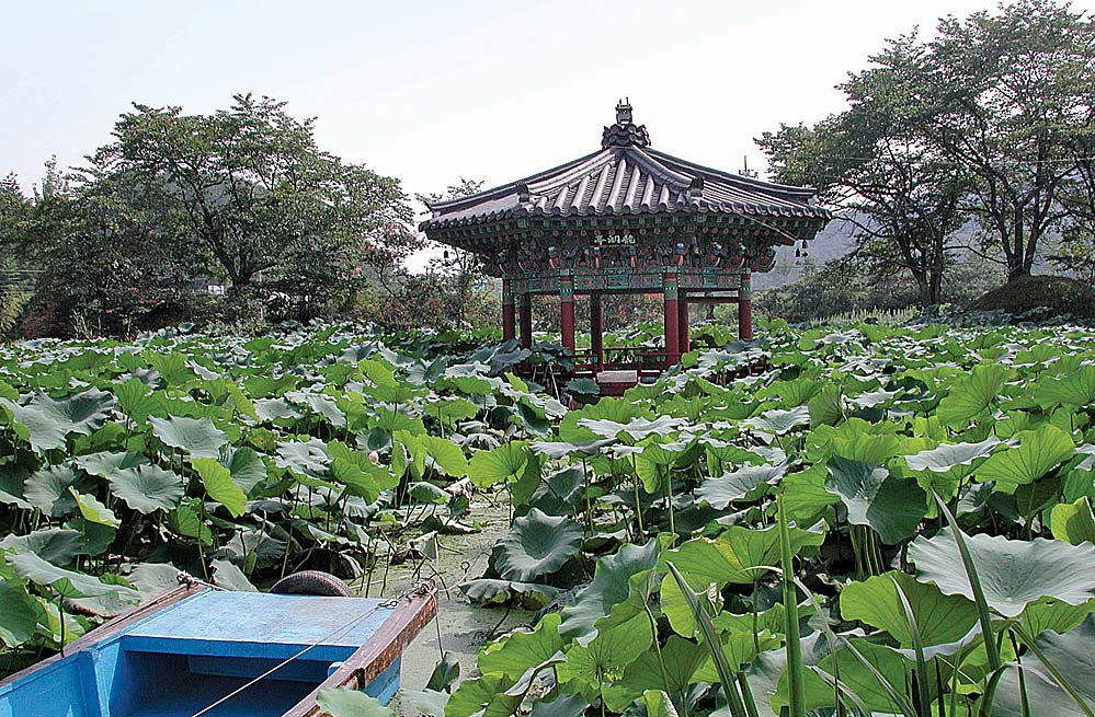 진주 용호정원 이미지