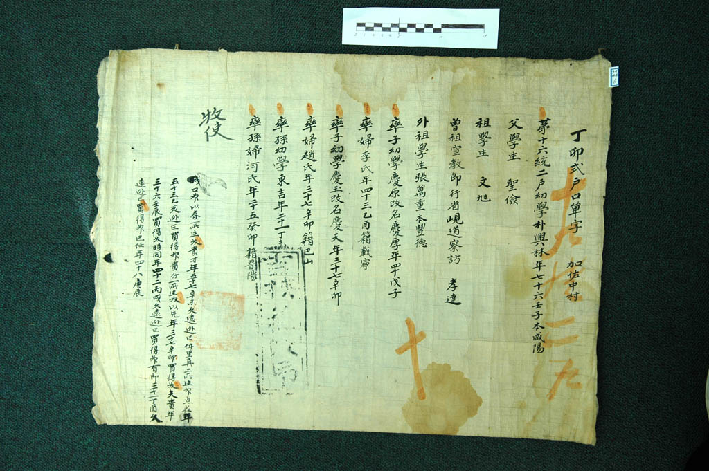 경상국립대학교 소장 호구단자·준호구철(慶尙大學校 所藏 戶口單子·準戶口綴) 이미지