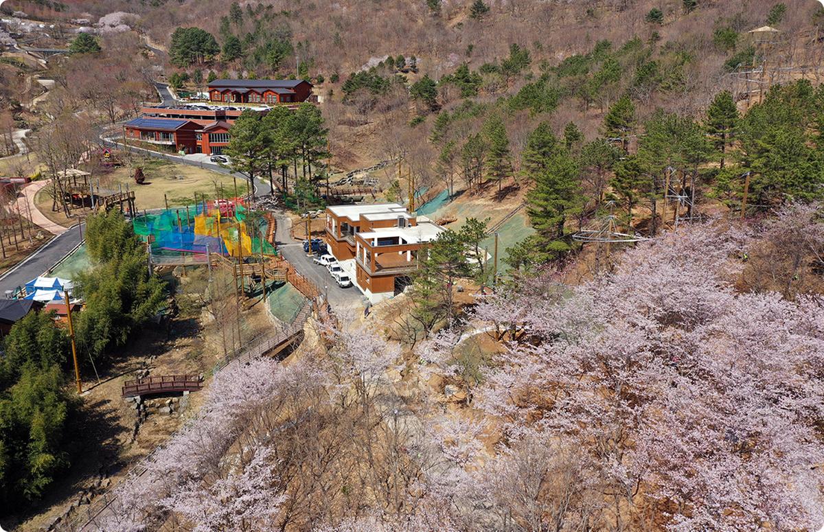 산림레포츠단지 이미지