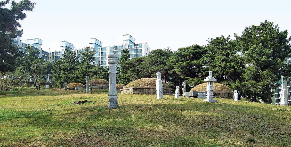 진주 상대동 고분군 이미지