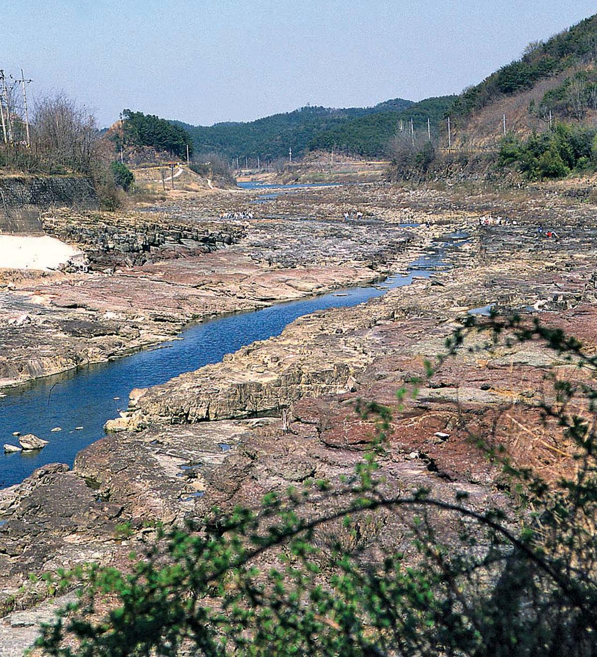 진주 유수리 백악기 화석산지(晋州 柳樹里 白堊紀 化石産地) 이미지