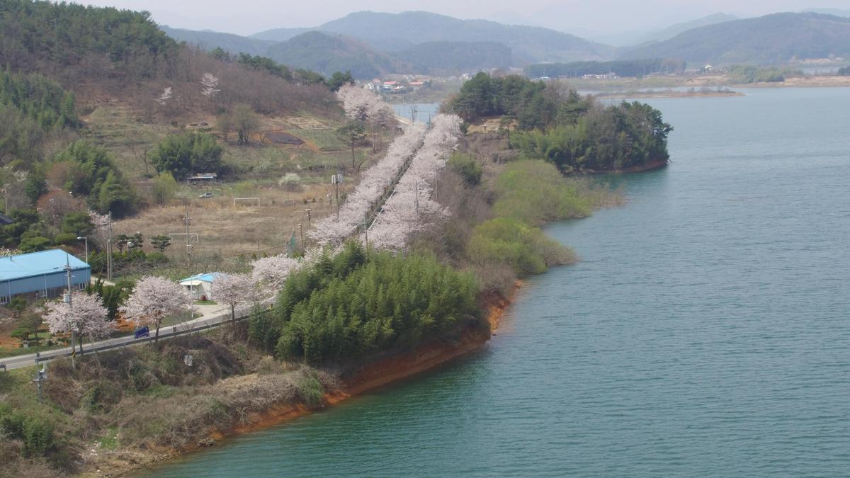 진양호 일주도로 이미지